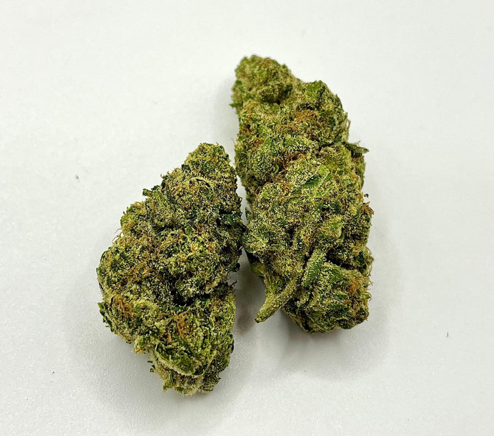 Doc Haze - THCA Smokeable Flower - Blanq Diversified Distribution